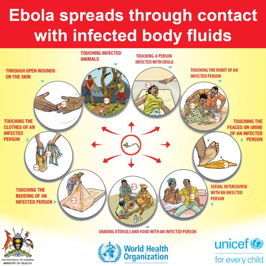 What is Ebola